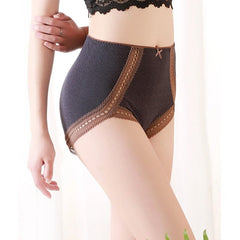 Victoria Net Design Plus Size Brief Cotton Panty