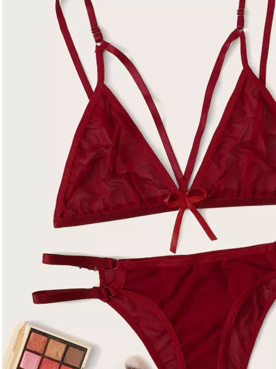 Victoria Ex Maroon Sexy Transparent Bikini Set